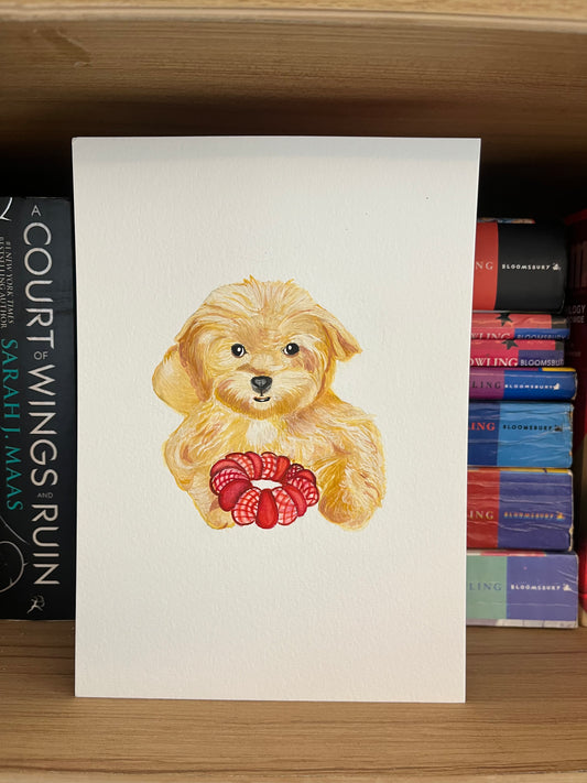 A Bundle of Fluff - The Love Letters Collection